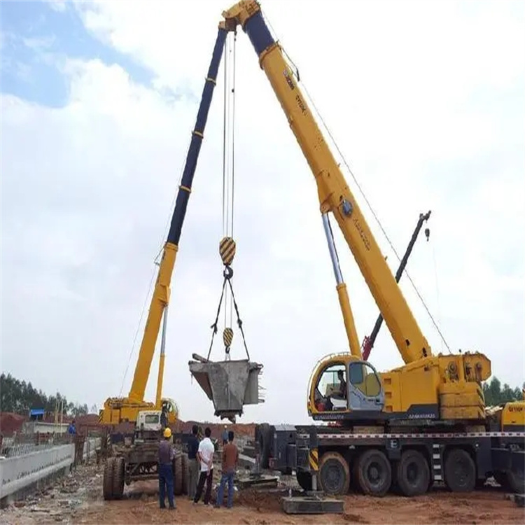 万安小型吊机出租电话|厂房设备吊装方案|24小时服务覆盖